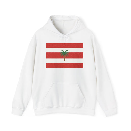 Tropical Stripe Hooded Sweatshirt - Unisex Sweatshirt with Palm Tree Design, Casual Wear, Gift for Beach Lovers, Summer Style, Cozy Hoodie
